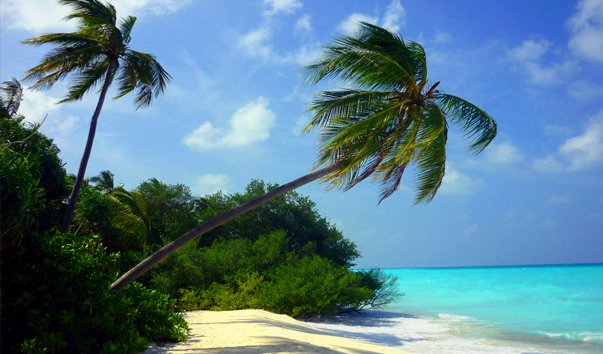 atoll rasdu