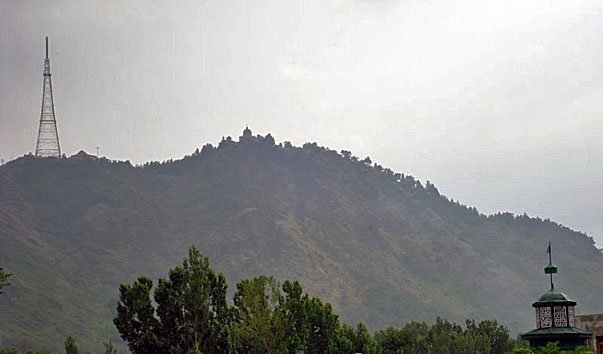 gora shankaracharija