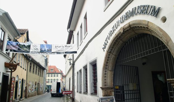 muzej estestvennoj istorii v erfurte