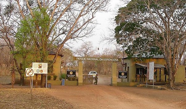 Национальный парк Горонгоса