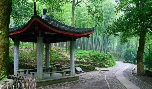 park bambukovij mir