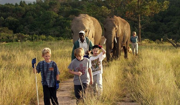 park slonov knysna elephant park