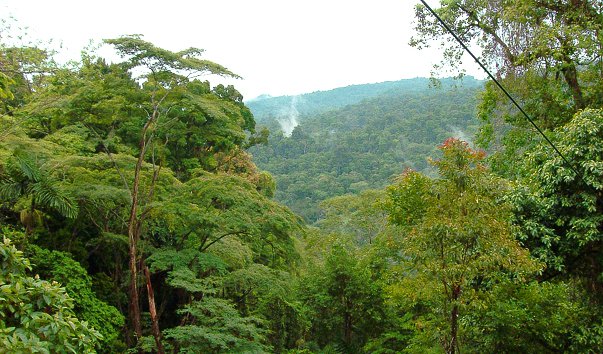 park veragua rain forest